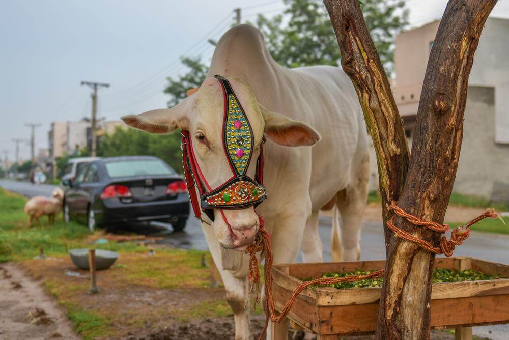 file 1550 5f81c9320c95d3badb135f00600e749c